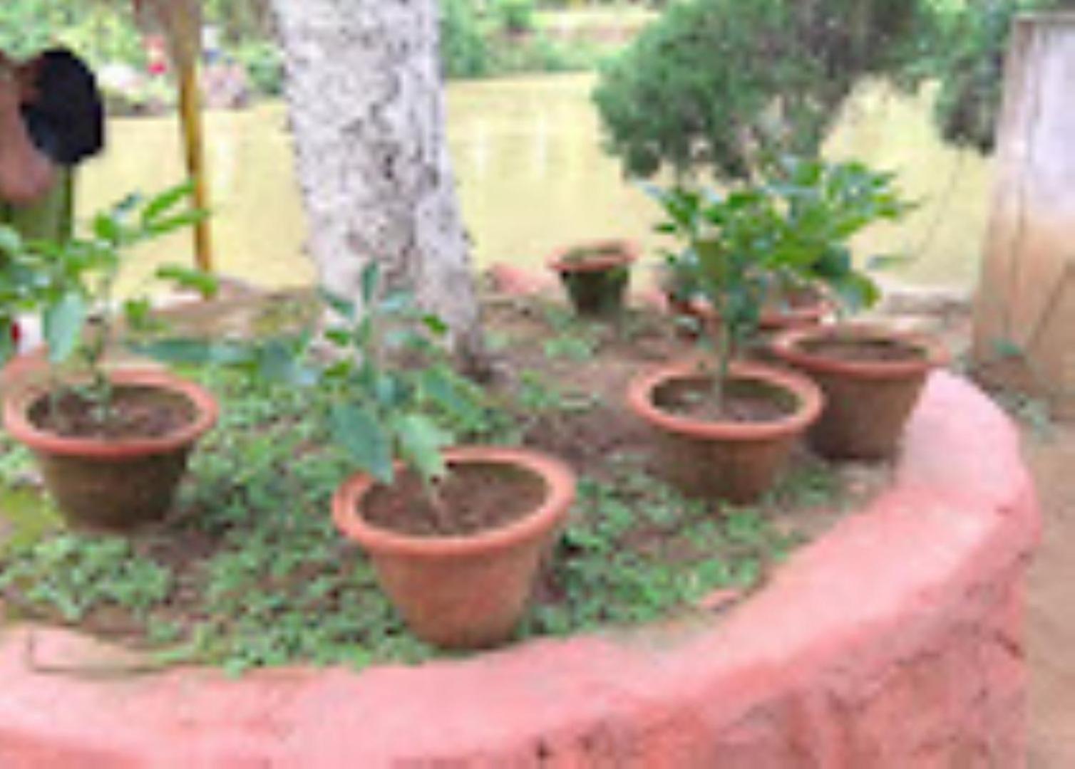 Brahmaputra Jungle Resort Guwahati Exterior foto